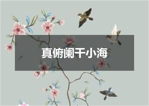 真俯阑干小海