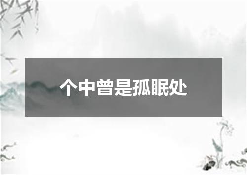 个中曾是孤眠处