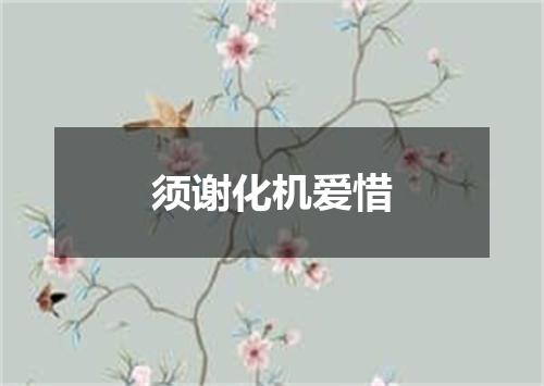 须谢化机爱惜