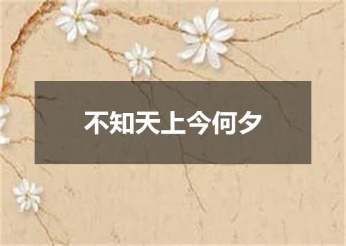 不知天上今何夕
