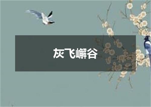 灰飞嶰谷