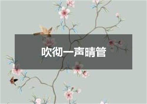 吹彻一声晴管