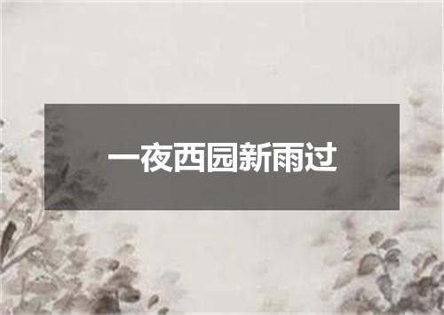 一夜西园新雨过