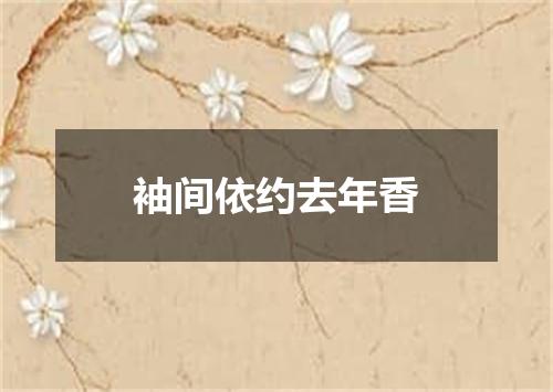 袖间依约去年香