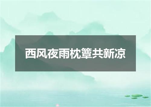 西风夜雨枕簟共新凉