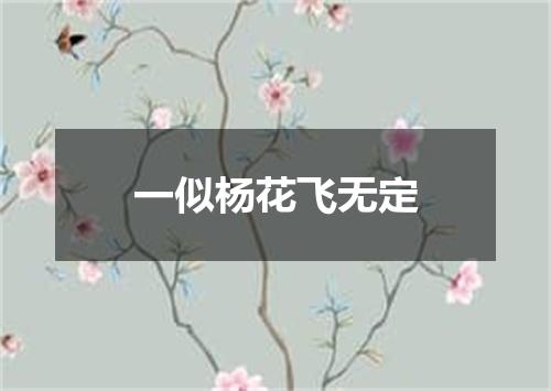 一似杨花飞无定