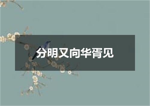 分明又向华胥见