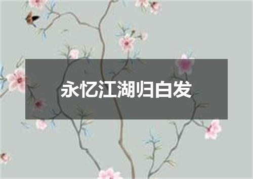 永忆江湖归白发