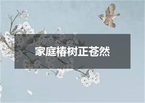 家庭椿树正苍然
