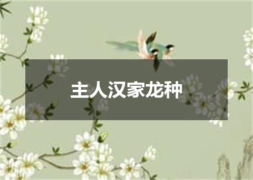 主人汉家龙种
