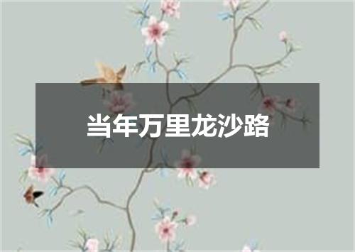 当年万里龙沙路