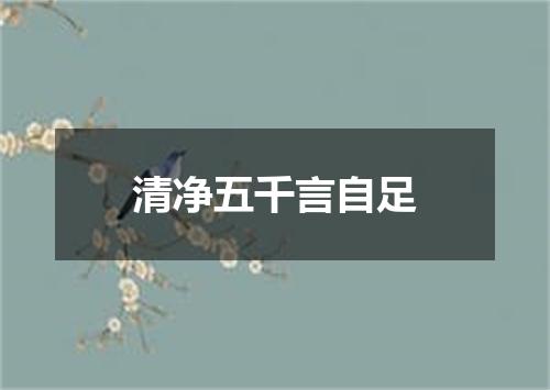 清净五千言自足