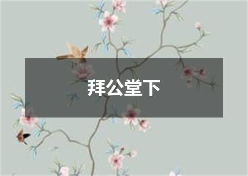 拜公堂下