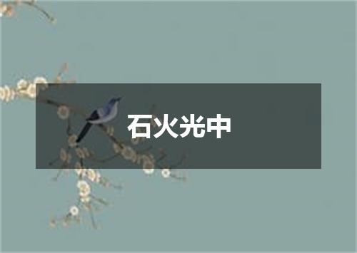 石火光中