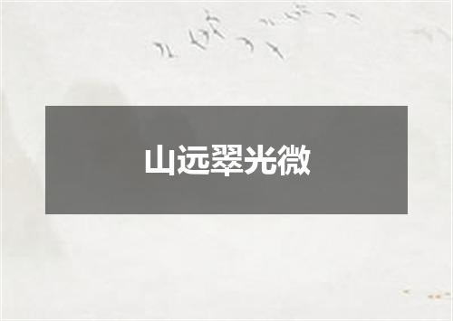 山远翠光微