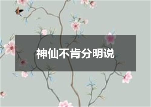 神仙不肯分明说