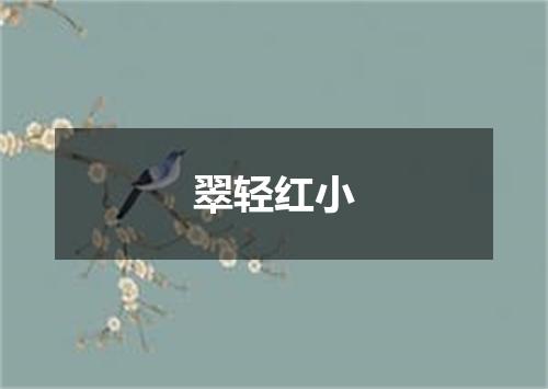 翠轻红小