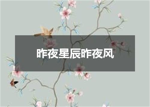 昨夜星辰昨夜风