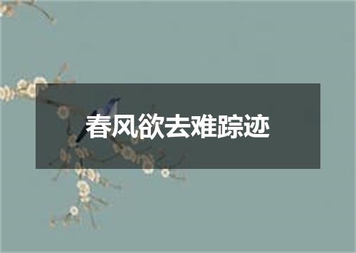 春风欲去难踪迹