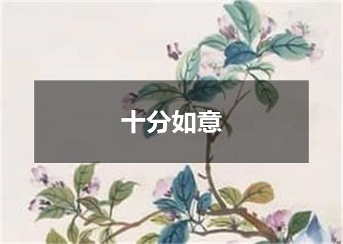 十分如意