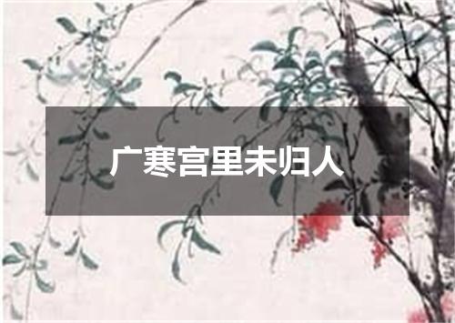 广寒宫里未归人