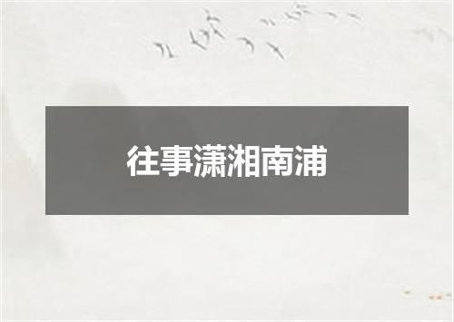 往事潇湘南浦