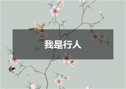 我是行人
