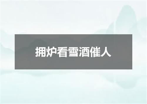 拥炉看雪酒催人