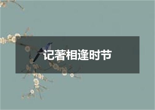 记著相逢时节