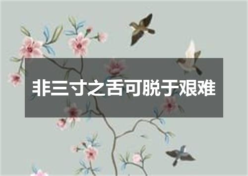 非三寸之舌可脱于艰难