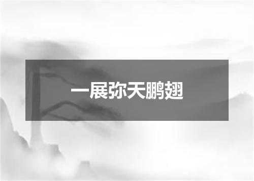 一展弥天鹏翅