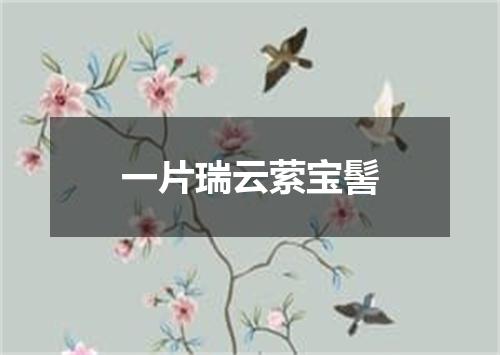 一片瑞云萦宝髻