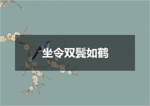 坐令双鬓如鹤