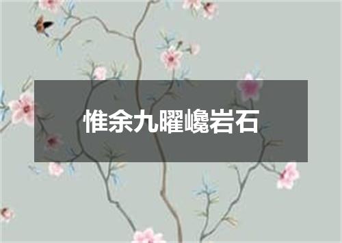 惟余九曜巉岩石