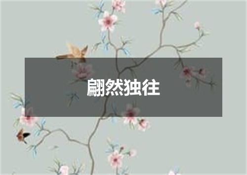 翩然独往