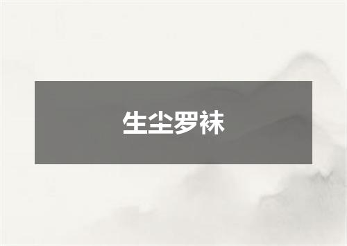生尘罗袜