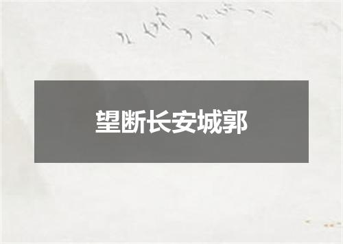 望断长安城郭