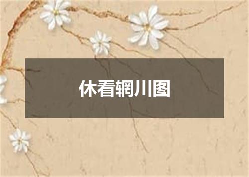 休看辋川图