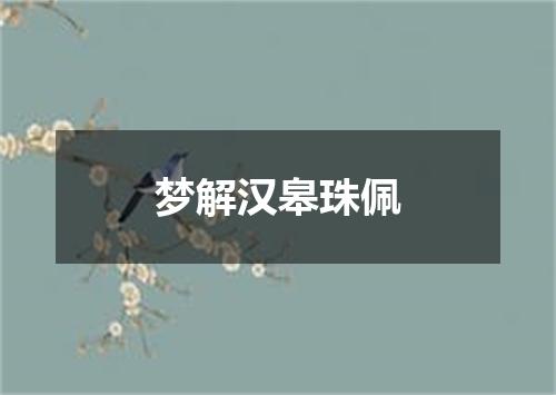 梦解汉皋珠佩