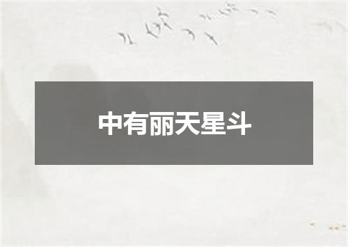 中有丽天星斗