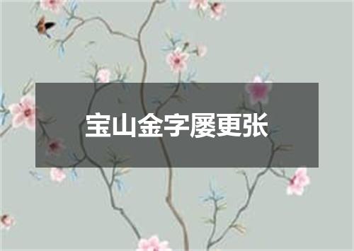 宝山金字屡更张