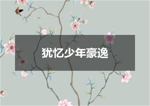 犹忆少年豪逸