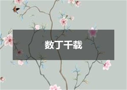 数丁千载