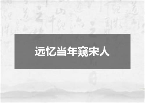 远忆当年窥宋人