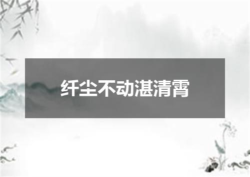纤尘不动湛清霄