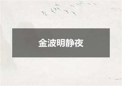 金波明静夜
