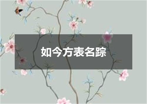如今方表名踪