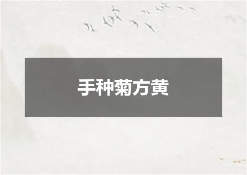 手种菊方黄