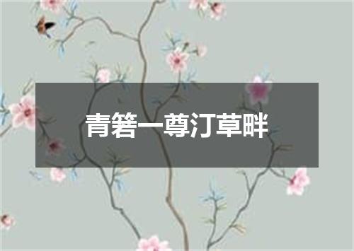 青箬一尊汀草畔