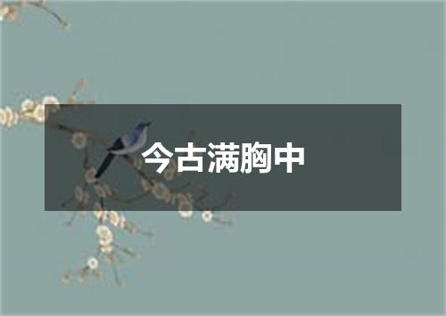今古满胸中
